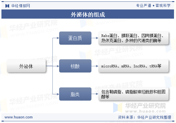 外泌体的组成