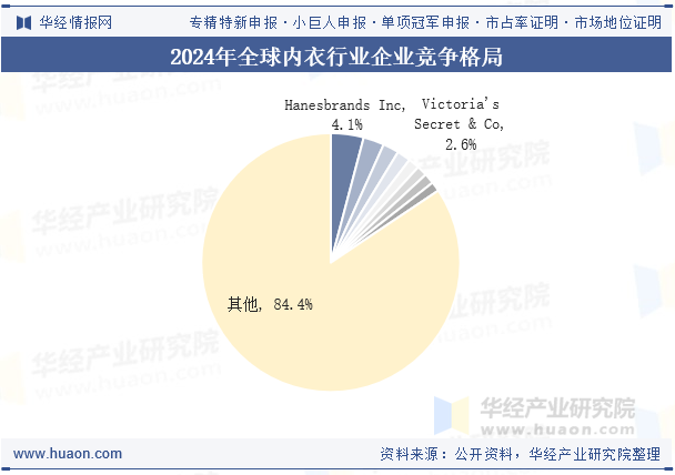 2024年全球内衣行业企业竞争格局