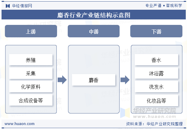 麝香行业产业链结构示意图
