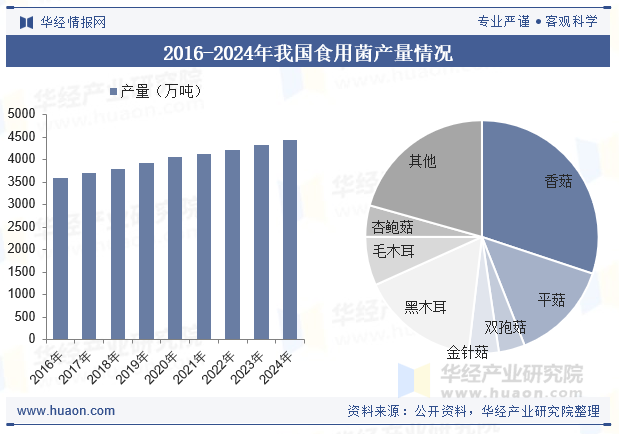 2016-2024年我国食用菌产量情况