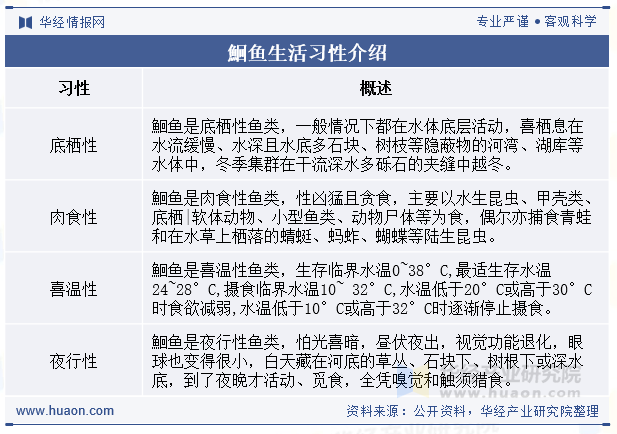 鮰鱼生活习性介绍