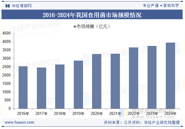 2016-2024年我国食用菌市场规模情况