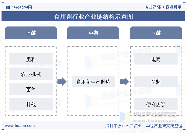 食用菌行业产业链结构示意图