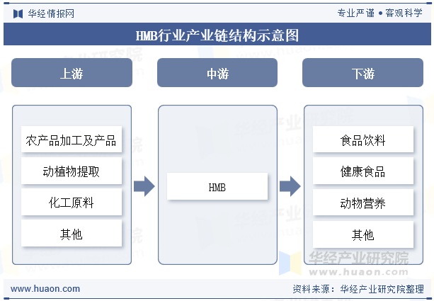 HMB行业产业链结构示意图