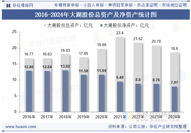 2016-2024年大湖股份总资产及净资产统计图