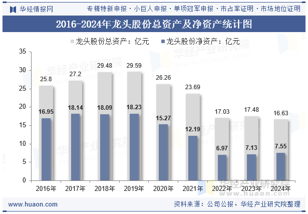 2016-2024年龙头股份总资产及净资产统计图