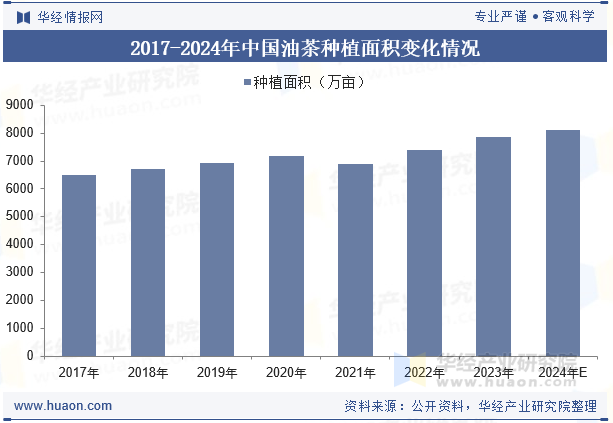 2017-2024年中国油茶种植面积变化情况