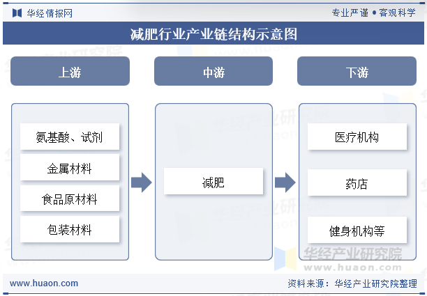 减肥行业产业链结构示意图