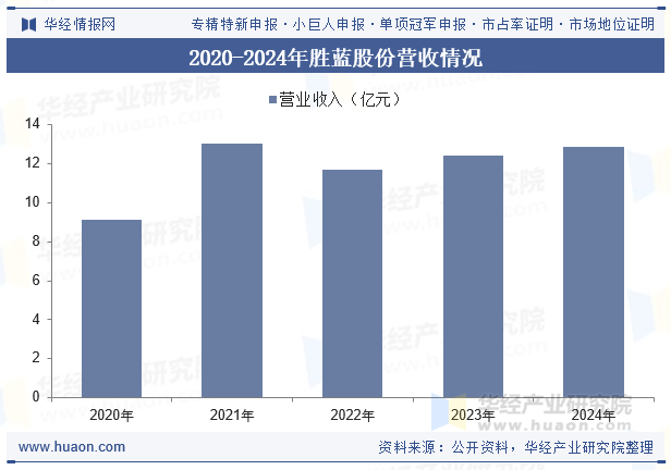 2020-2024年胜蓝股份营收情况