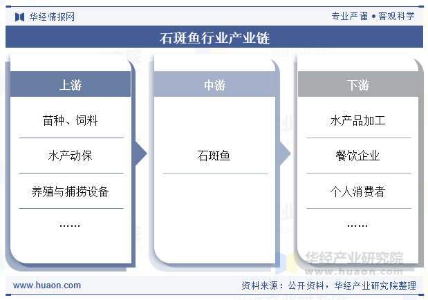 石斑鱼行业产业链