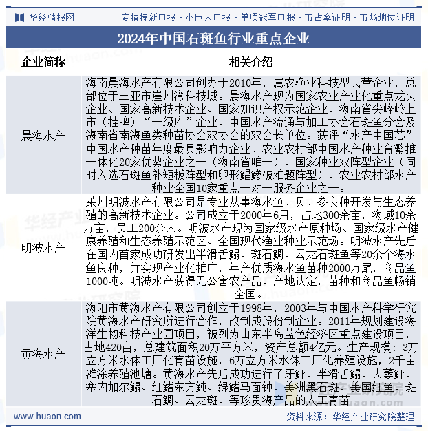 2024年中国石斑鱼行业重点企业