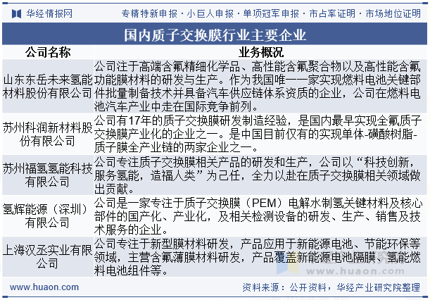 国内质子交换膜行业主要企业