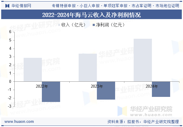 2022-2024年海马云收入及净利润情况
