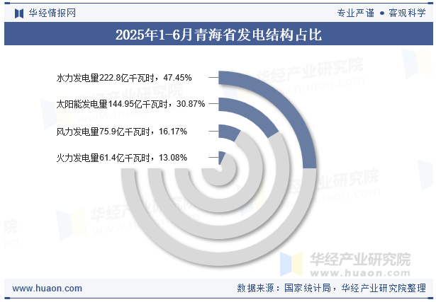 2025年1-6月青海省发电结构占比