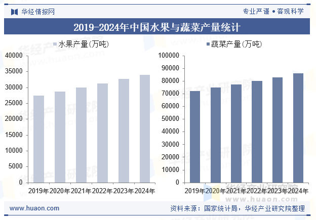 2019-2024年中国水果与蔬菜产量统计