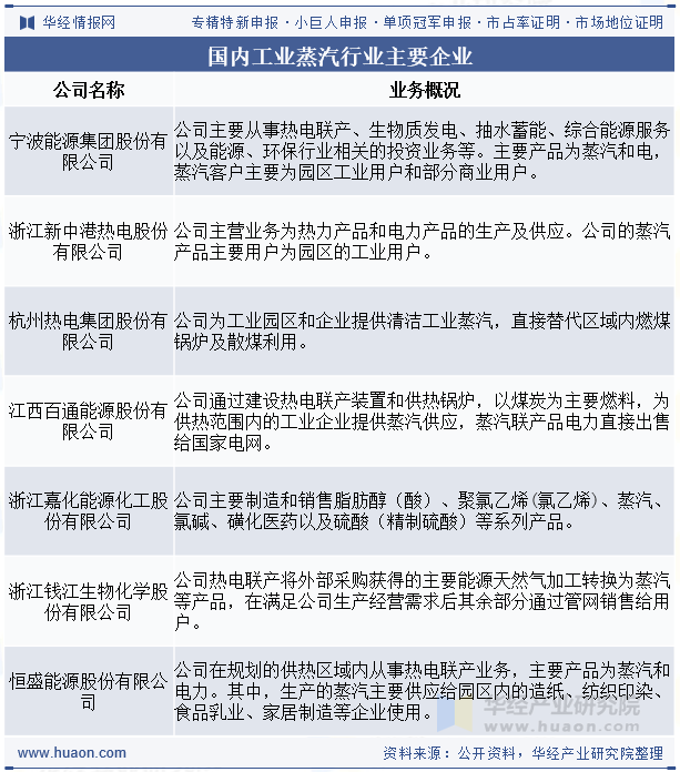 国内工业蒸汽行业主要企业