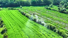 2025年中国农药中间体行业发展现状分析：环保型中间体受青睐，未来集中度逐渐提升「图」